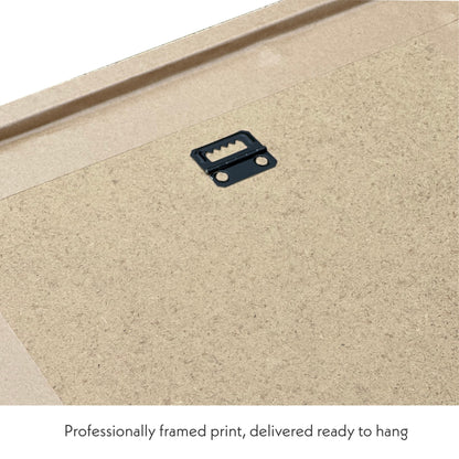 Pedal Strokes Prints frames